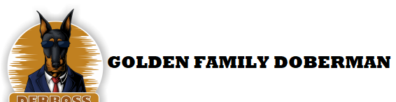 GOLDEN FAMILY DOBERMAN PUPPY HOME